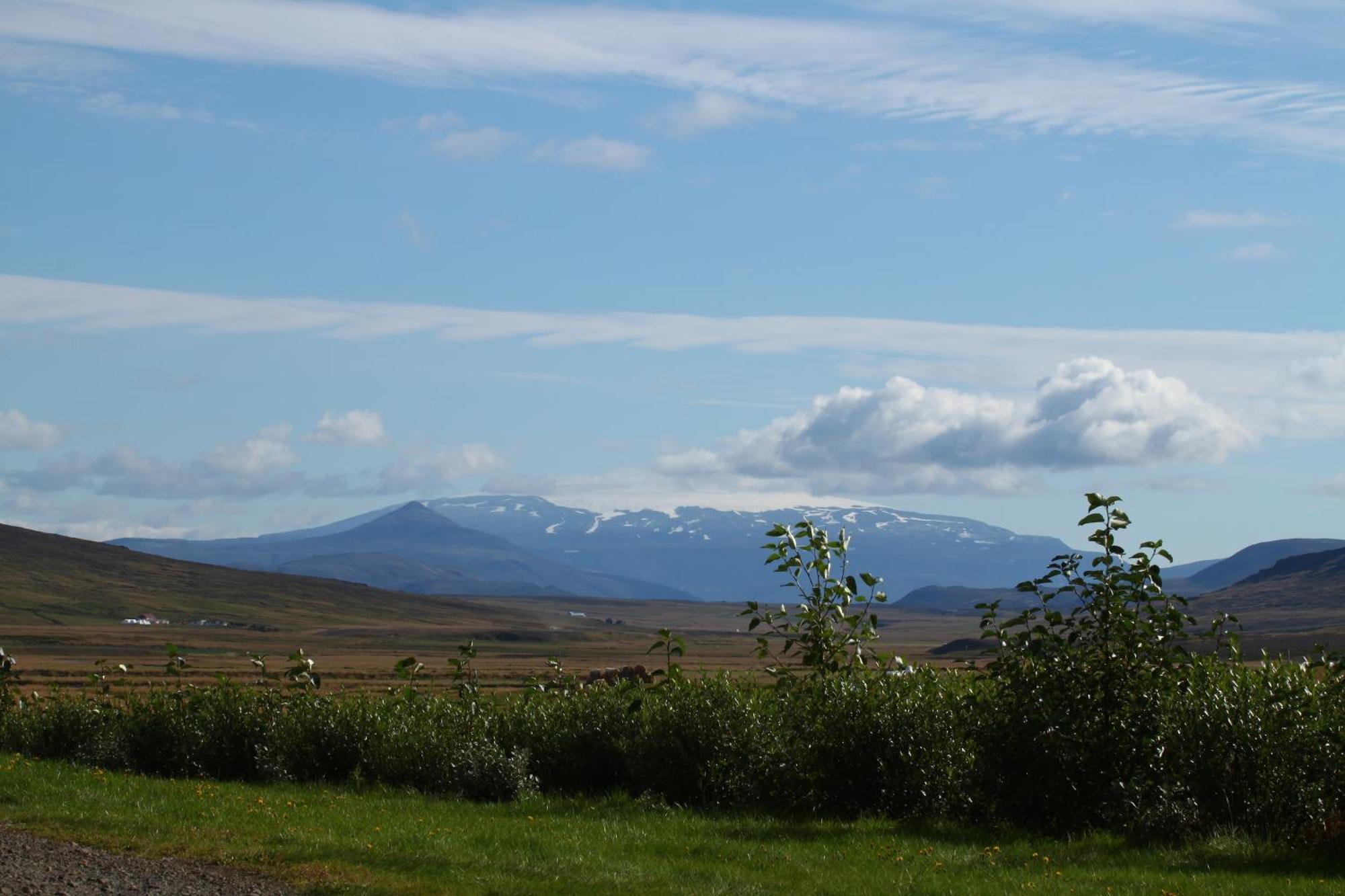 Guesthouse Steindorsstadir, West Iceland Reykholt  Exterior photo