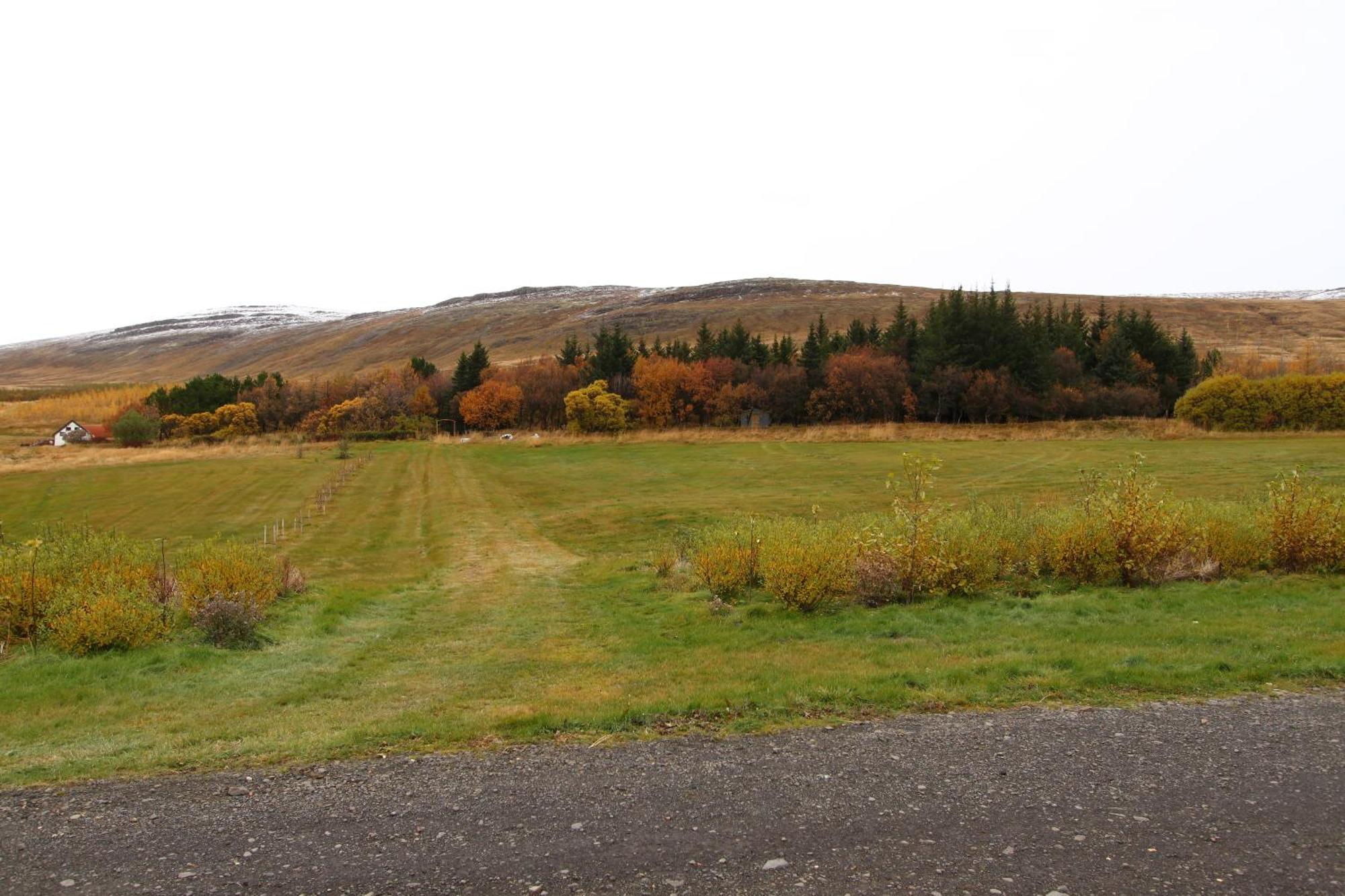Guesthouse Steindorsstadir, West Iceland Reykholt  Exterior photo
