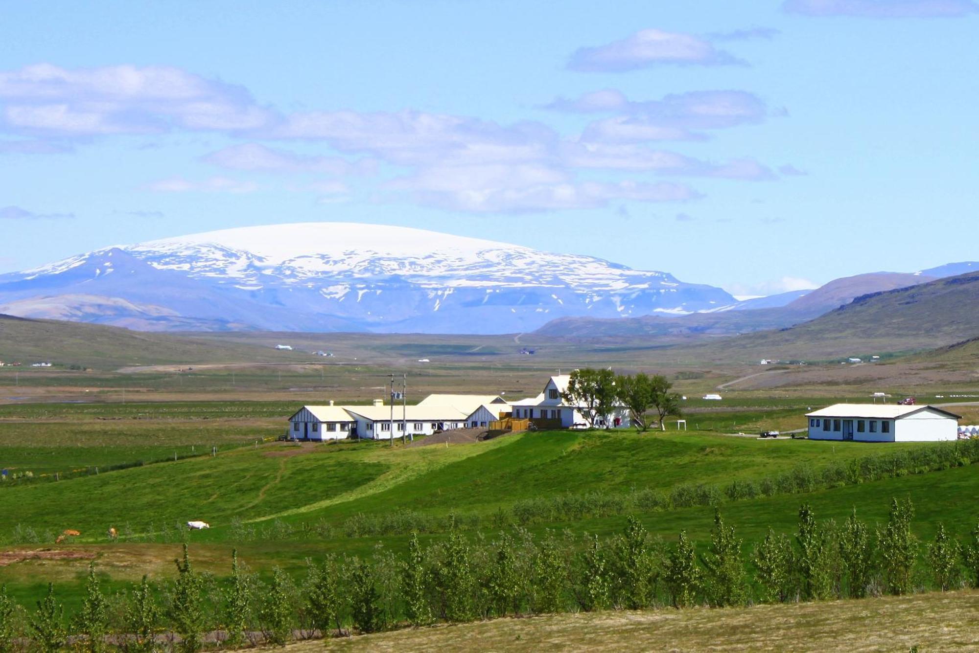 Guesthouse Steindorsstadir, West Iceland Reykholt  Exterior photo